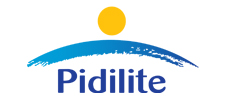 Pidilite