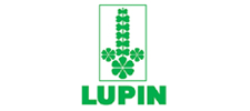 Lupin