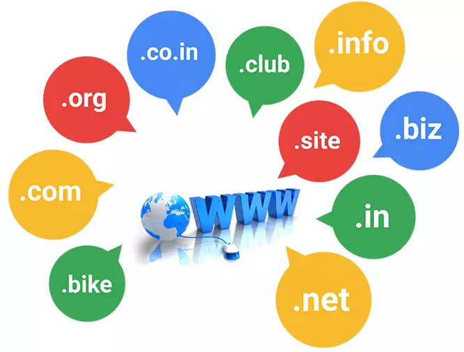 Domain Name Registration