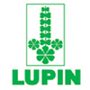 Lupin